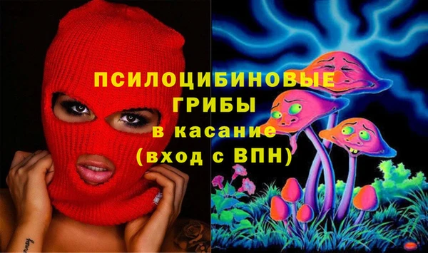 амф Аркадак
